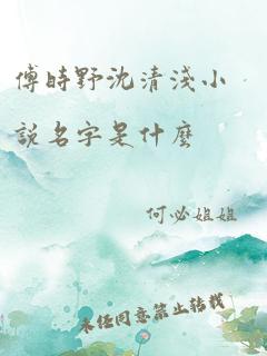 傅时野沈清浅小说名字是什么