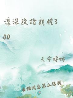 沪深股指期权300