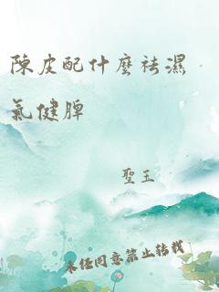 陈皮配什么祛湿气健脾