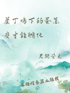 芦丁鸡下的蛋怎么才能孵化