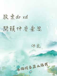 股票dr xd开头什么意思