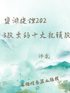 盐湖提锂2023股票的十大龙头股