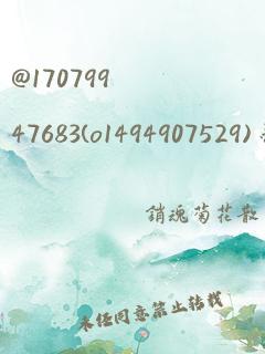 @17079947683(o1494907529) 翻译