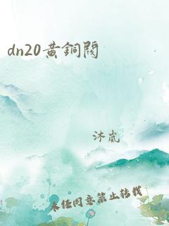 dn20黄铜阀