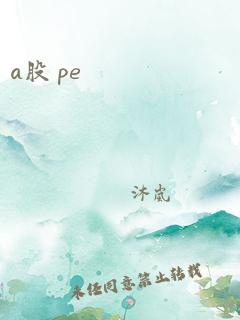 a股 pe