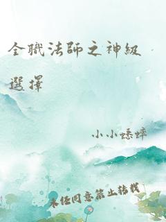 全职法师之神级选择