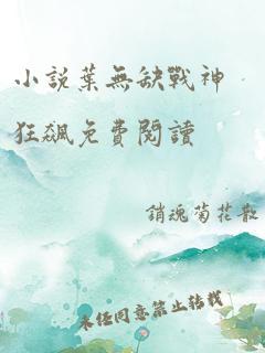 小说叶无缺战神狂飙免费阅读