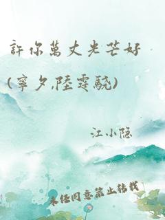 许你万丈光芒好(宁夕,陆霆骁)