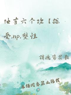 他有六个攻【总受,np,双性