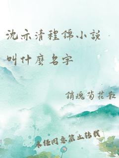 沈亦清程锦小说叫什么名字