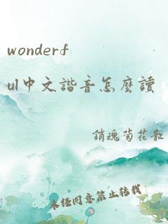 wonderful中文谐音怎么读