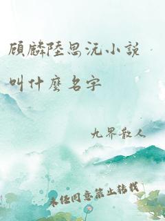 顾麟陆思沅小说叫什么名字