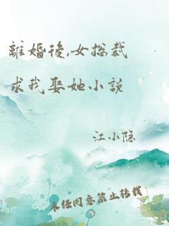 离婚后,女总裁求我娶她小说