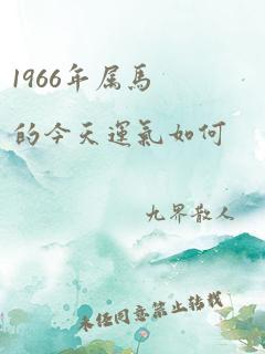 1966年属马的今天运气如何