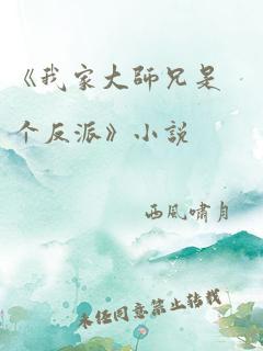 《我家大师兄是个反派》小说