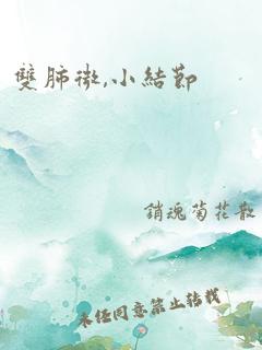 双肺微,小结节