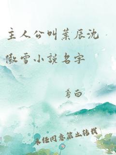 主人公叫叶辰沈傲雪小说名字