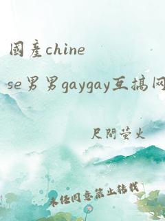 国产chinese男男gaygay互搞网站