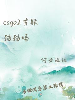 csgo2有躲猫猫吗