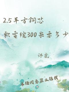 2.5平方铜芯软电缆300米要多少钱