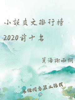 小说爽文排行榜2020前十名