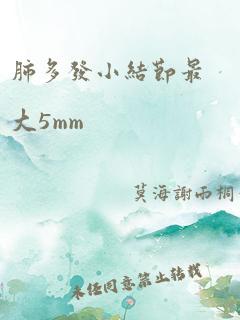 肺多发小结节最大5mm