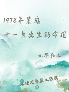 1978年农历十一月出生的命运