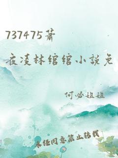 737475萧夜凌林绾绾小说免费阅读