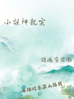 小说神龙宗