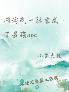 网游我一玩家成了最强npc