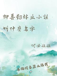 柳嘉懿林止小说叫什么名字