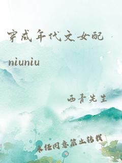 穿成年代文女配 niuniu