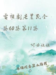 电视剧老农民全集60集第11集