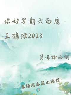 你好星期六白鹿王鹤棣2023