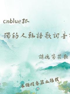 cnblue孤独的人韩语歌词音译