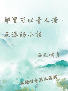 那里可以看人渣反派的小说