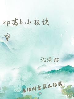 np高h小说快穿