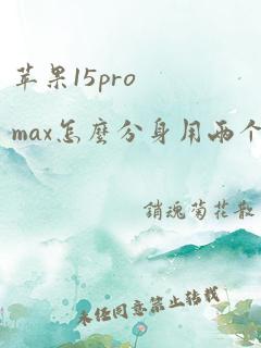 苹果15promax怎么分身用两个微信