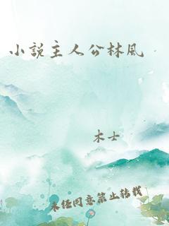 小说主人公林风