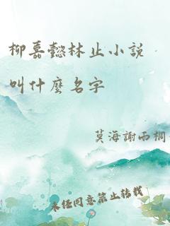 柳嘉懿林止小说叫什么名字