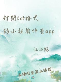 打开txt格式的小说用什么app