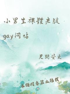 小男生裸体光腚gay网站