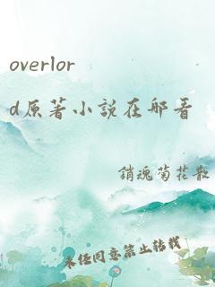 overlord原著小说在哪看