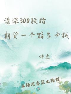 沪深300股指期货一个点多少钱