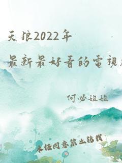 天狼2022年最新最好看的电视剧