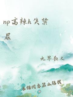 np高辣h失禁尿