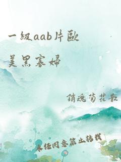 一级aab片欧美黑寡妇