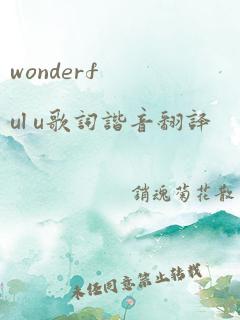 wonderful u歌词谐音翻译