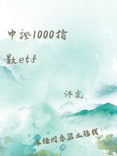 中证1000指数etf