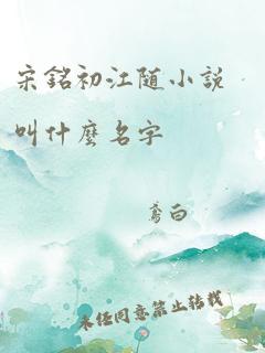 宋铭初江随小说叫什么名字